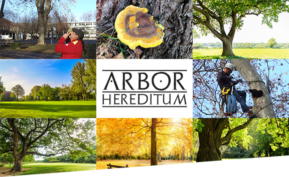 Presentation-Arbor